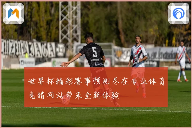 世界杯精彩赛事预测尽在专业体育竞猜网站带来全新体验