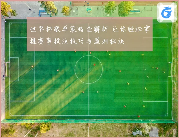 世界杯跟单策略全解析 让你轻松掌握赛事投注技巧与盈利秘诀
