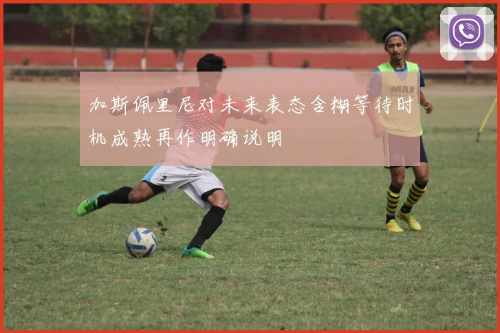 加斯佩里尼对未来表态含糊等待时机成熟再作明确说明