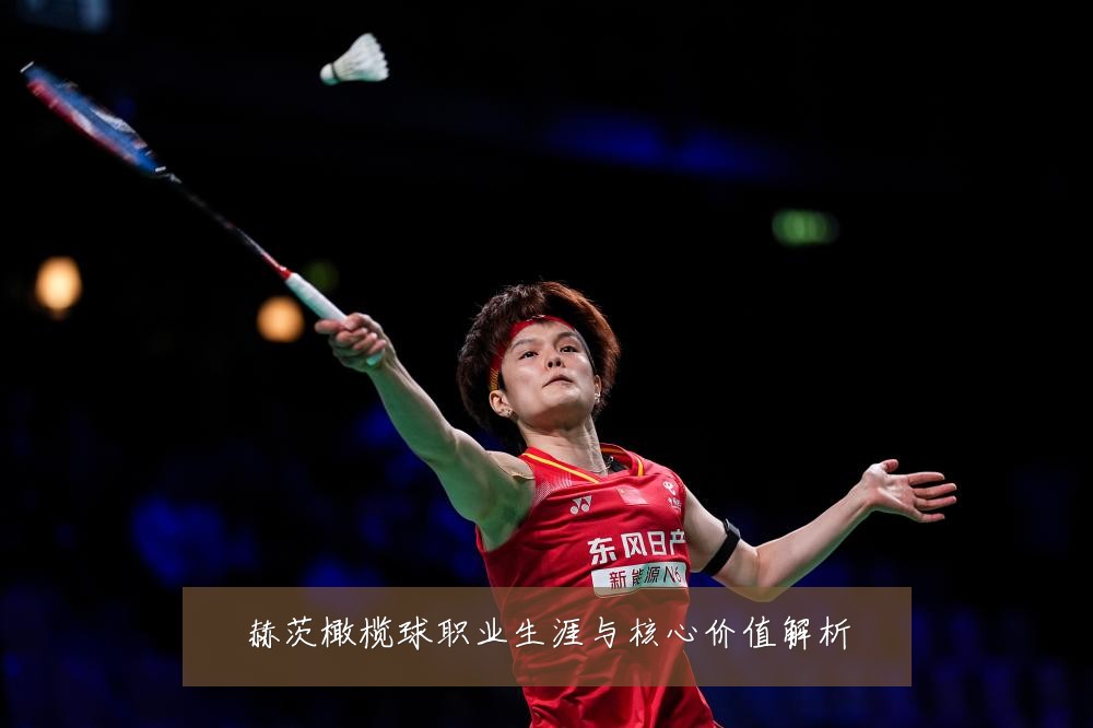 赫茨橄榄球职业生涯与核心价值解析